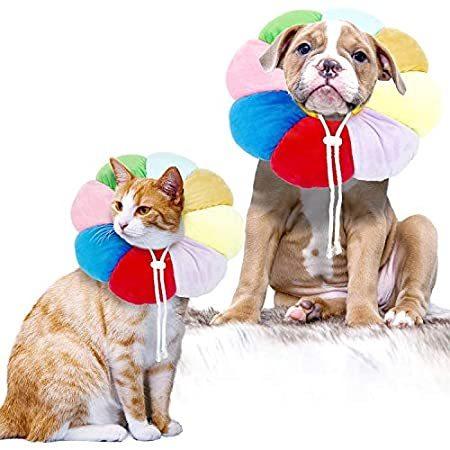 特別価格kudes Cat And Dog Recovery Collar Upgraded Version Cute Neck Cone After 好評販売中 エリザベスカラー Canipec Org Mx