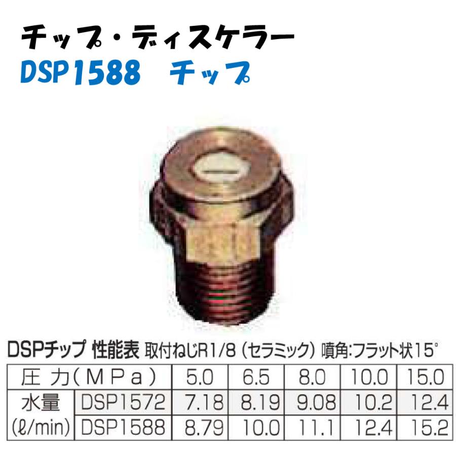 永田製作所 チップ・ディスケラー DSP1588 R1/8 (セラミック) 噴角