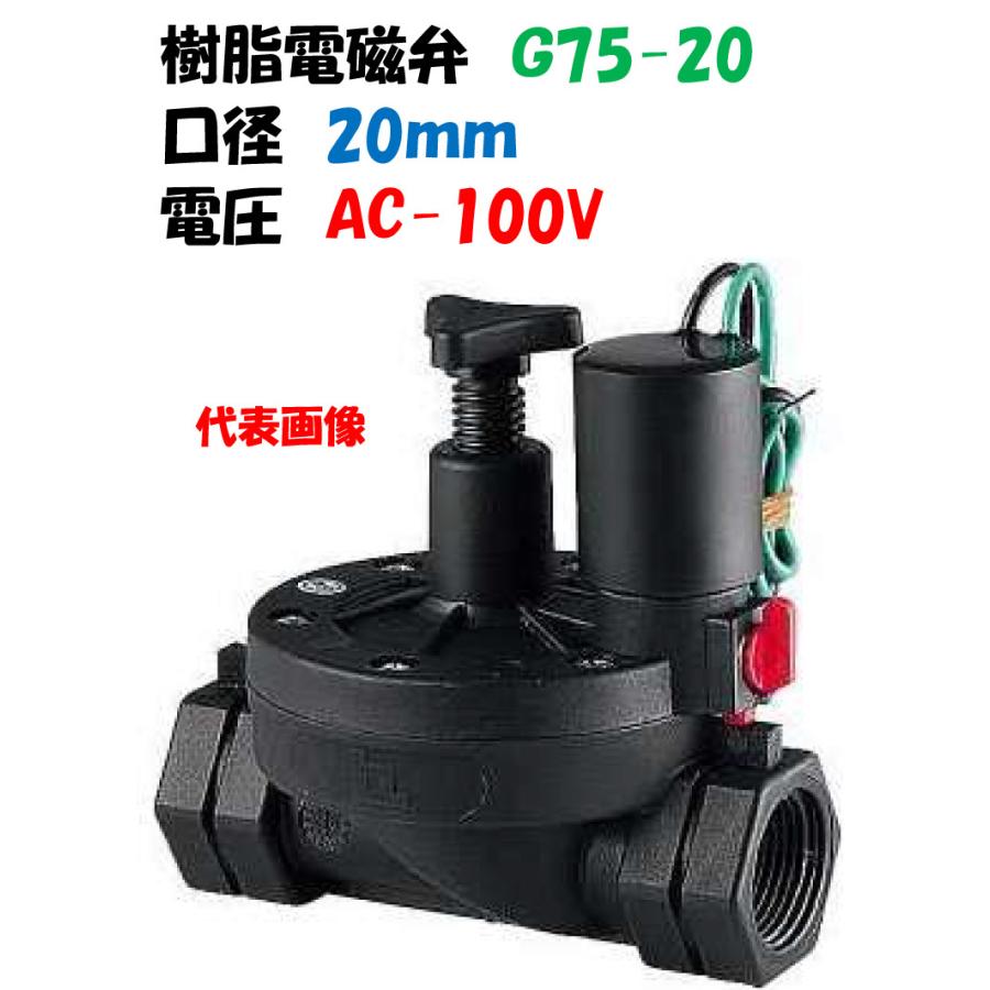 電磁弁 ダイヤフラム式 G75-20 20mm AC-100 バカラ ガーデニング 散水