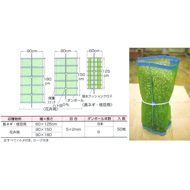 長ネギ・花卉の集荷用ネット マキマキ まきまき 90×150cm 50枚セット 