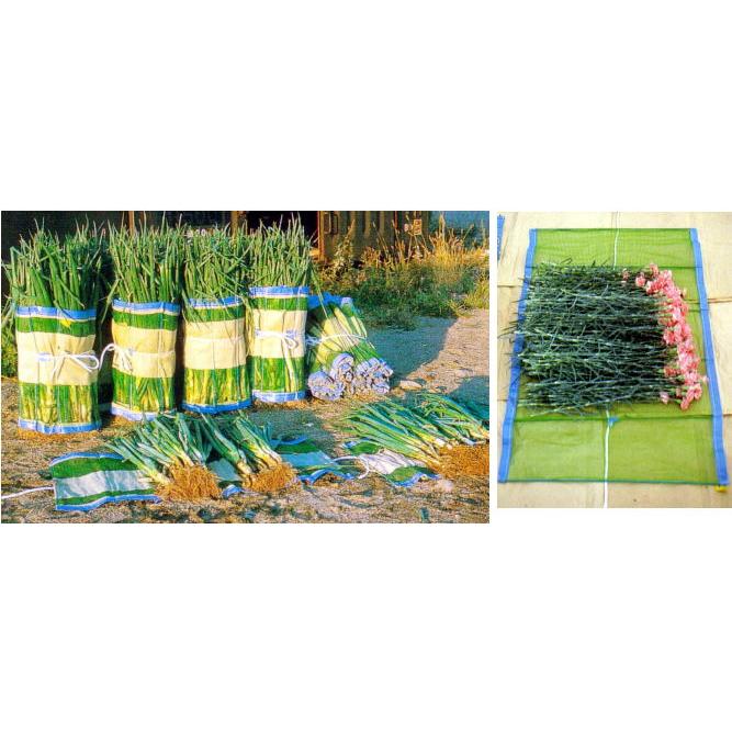 長ネギ・花卉の集荷用ネット マキマキ まきまき 90×150cm 50枚セット 