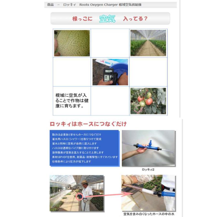 空気混入型園芸用散水器 ロッキィ 6 青色 75mm 根域空気供給機