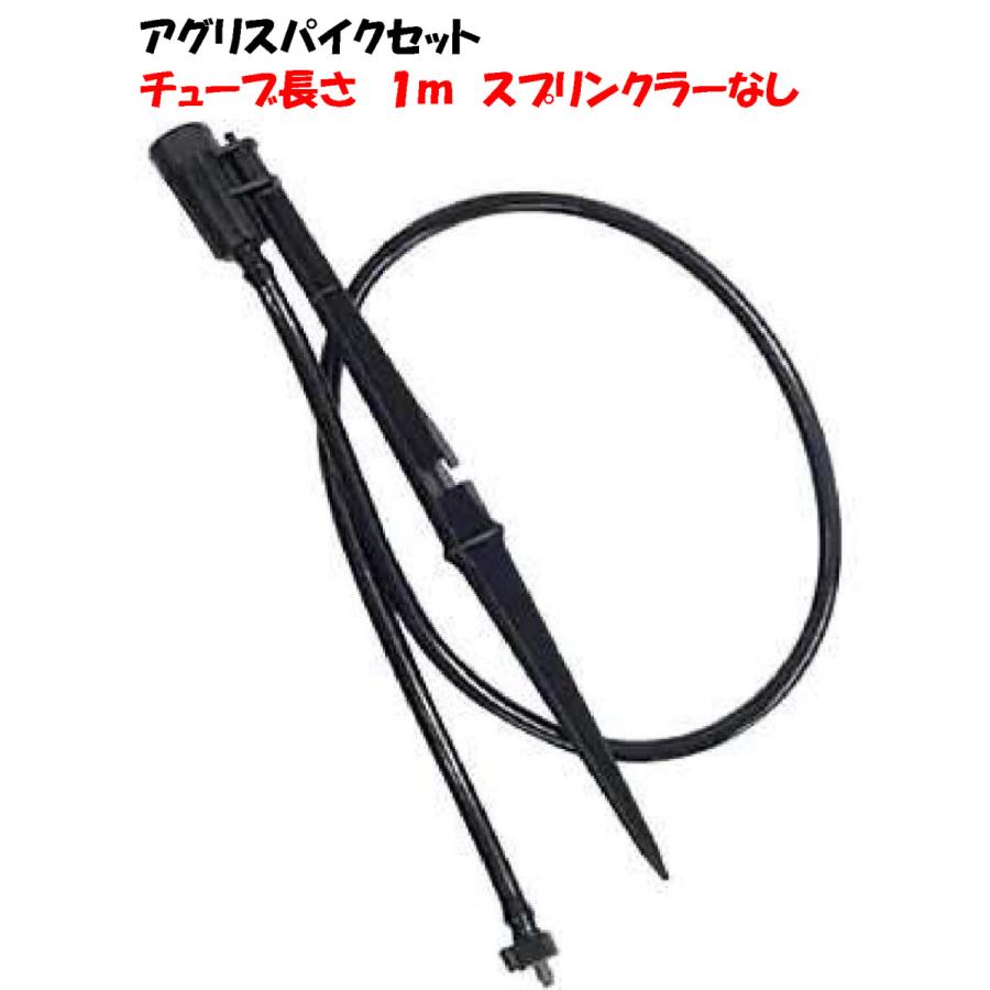 Aelirさん専用 1-4625-03 バイオラボフィットグローブ（パウダーフリー） S 100枚入