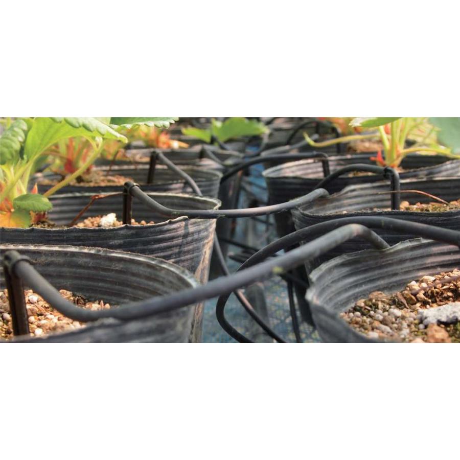 アイドロップL型スパイクセット SDi-L2×4 4本分岐 2L/時 チューブ