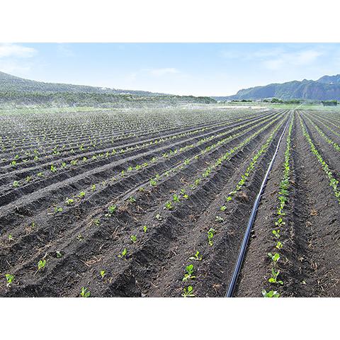 スミサンスイ R露地ワイド 120m 2巻セット 噴霧散水タイプ WB1042 旧 