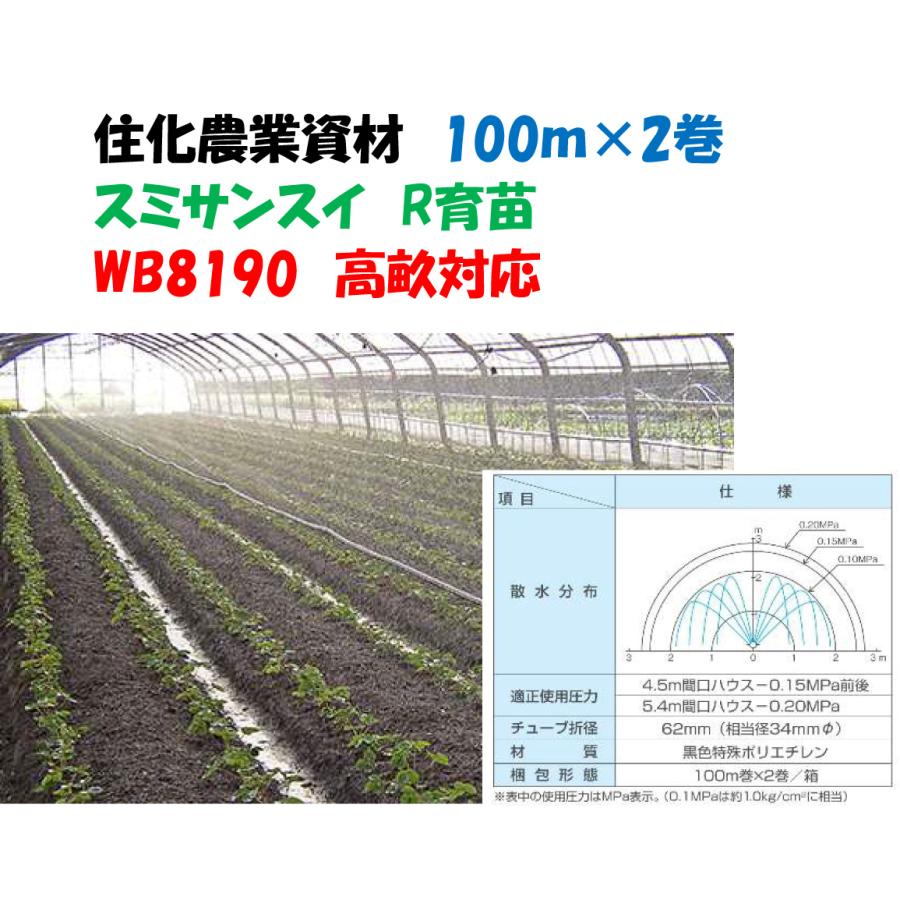 スミサンスイ R育苗 100m 2巻セット 噴霧散水タイプ WB1063 旧WB8190