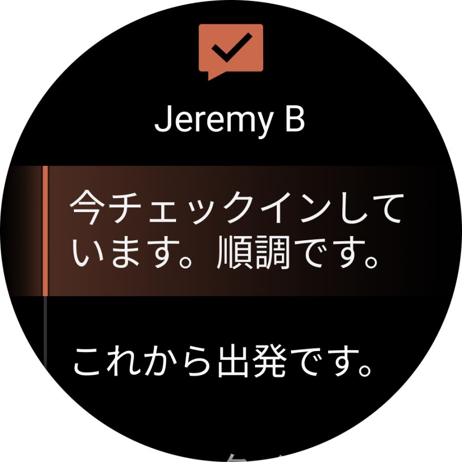 正規販売店 ガーミン フェニックス ８ プロ fenix 8 Pro Sapphire AMOLED 51mm Ti Carbon Gray DLC / Black LTE  有機ELディスプレイ GPSウォッチ 010-03199-21の画像