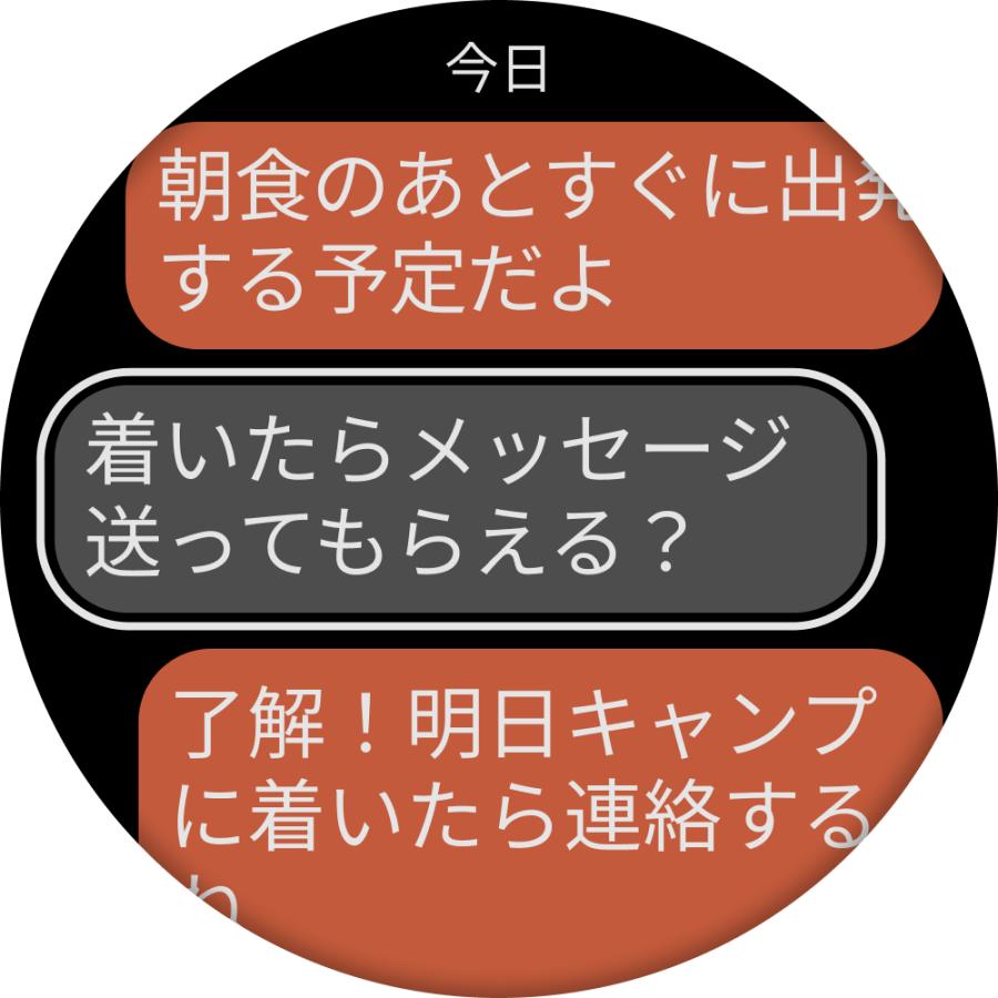 正規販売店 ガーミン フェニックス ８ プロ fenix 8 Pro Sapphire AMOLED 51mm Ti / Graphite LTE  有機ELディスプレイ GPSウォッチ 010-03199-31の画像