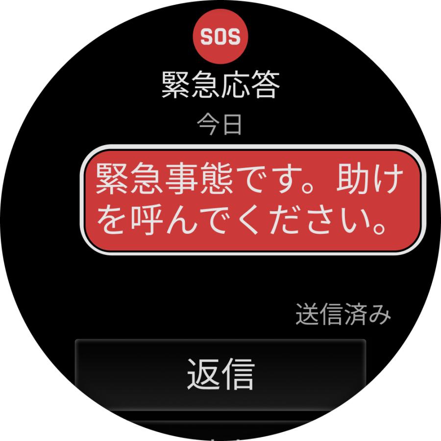 正規販売店 ガーミン フェニックス ８ プロ fenix 8 Pro Sapphire AMOLED 51mm Ti / Graphite LTE  有機ELディスプレイ GPSウォッチ 010-03199-31の画像