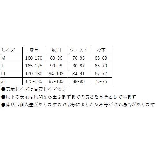 プロマリン) ウェットスーツ4点セット WPM015 ウェア ウエットスーツ