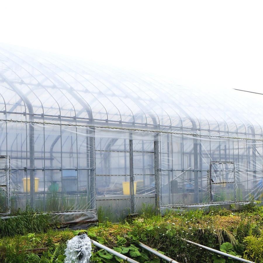 産地直送 生きたまま発送 川魚の女王岩魚 イワナ いわな 鮮魚 養殖 塩焼きに最適 おためしの10匹 送料無料 Iwana10 熊人yahoo 店 通販 Yahoo ショッピング