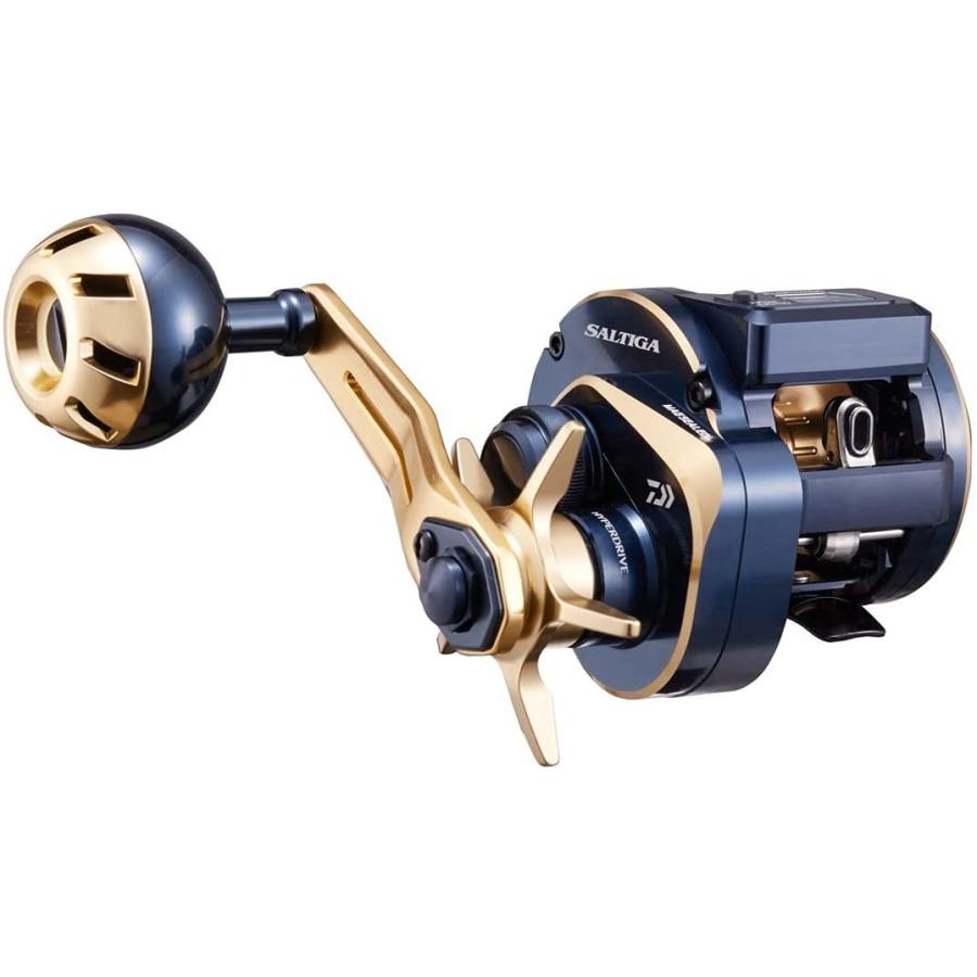 DAIWA（ダイワ） 21ソルティガIC 100 (034688) 00631502 ベイトフライ
