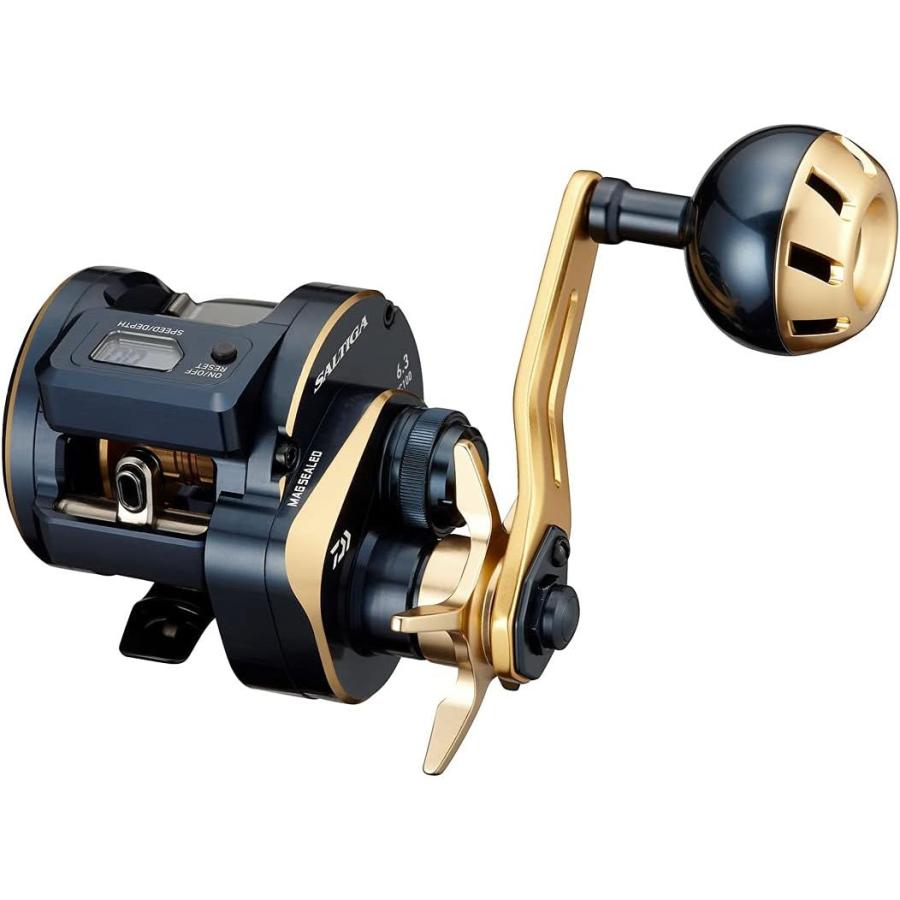 DAIWA（ダイワ） 21ソルティガIC 100L (034695) オフショア ベイト