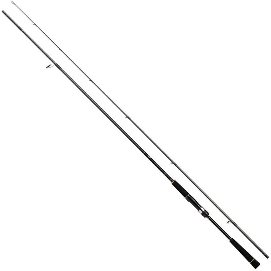 DAIWA（ダイワ） 05800075 シーバスハンターX 93M・R (319829