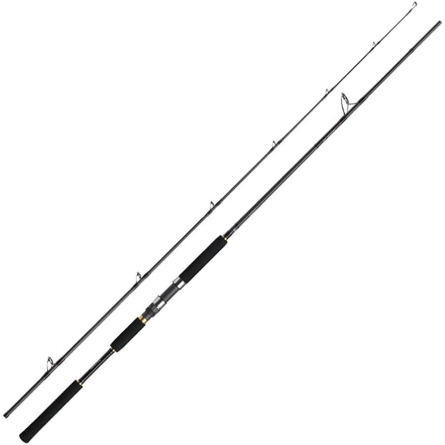 DAIWA（釣り） (DAIWA/ダイワ) 01474902 ジグキャスターMX JIGCASTER 