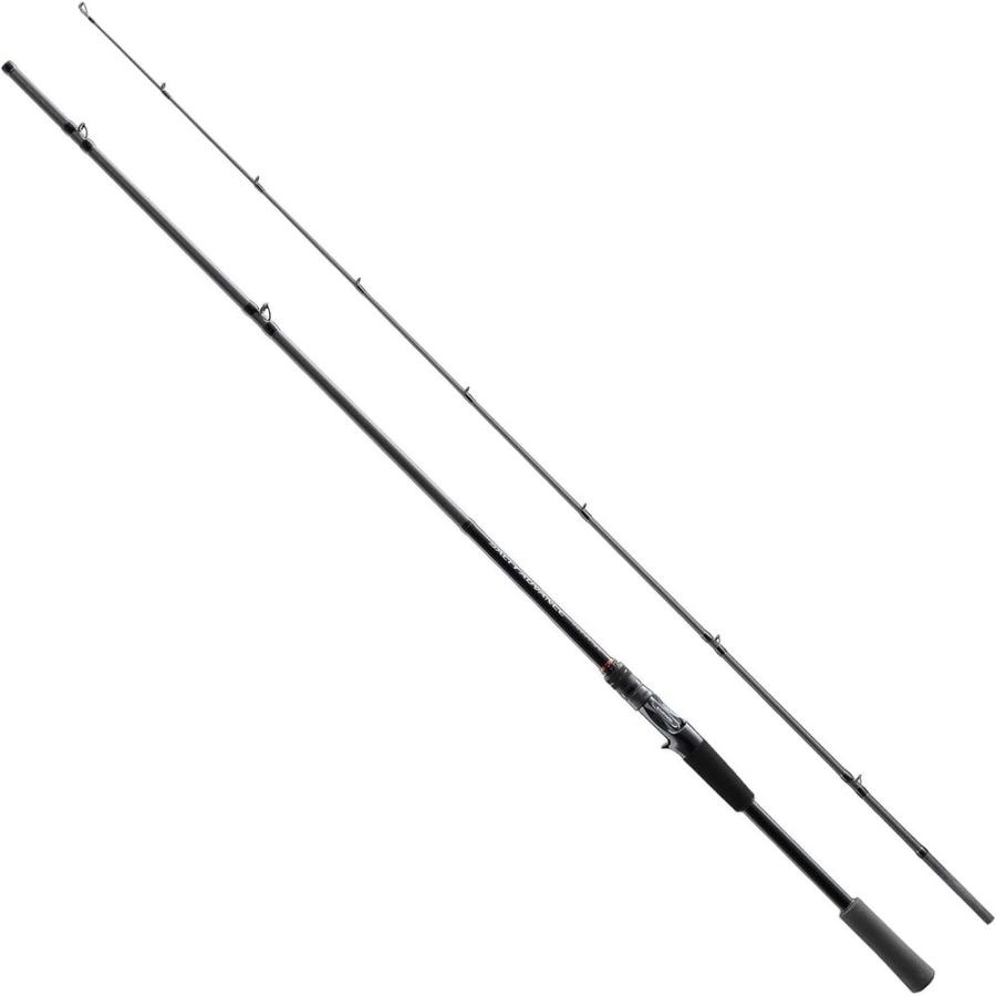 シマノ（SHIMANO） 25 ソルティーアドバンス ショアモデル ロック