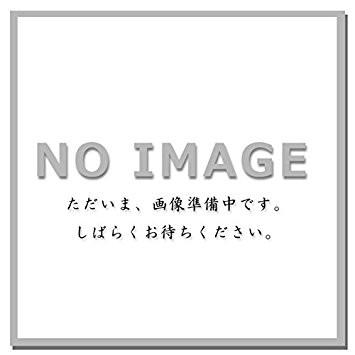 (オーランド) 落し駒玉の柄+木製丸玉枠セット 玉枠40cm 玉の柄500 425190 セット 玉枠 網 フレーム