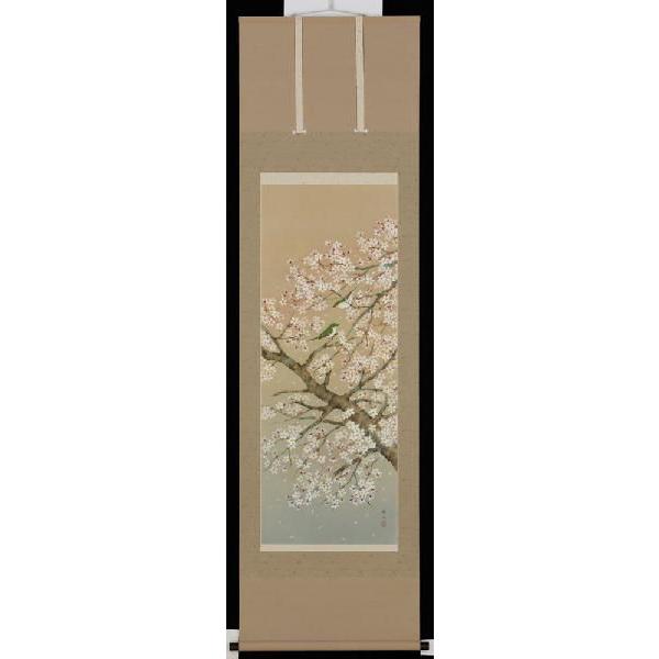 掛け軸 桜に小鳥 鈴木秀湖 美術年鑑掲載作家 掛軸