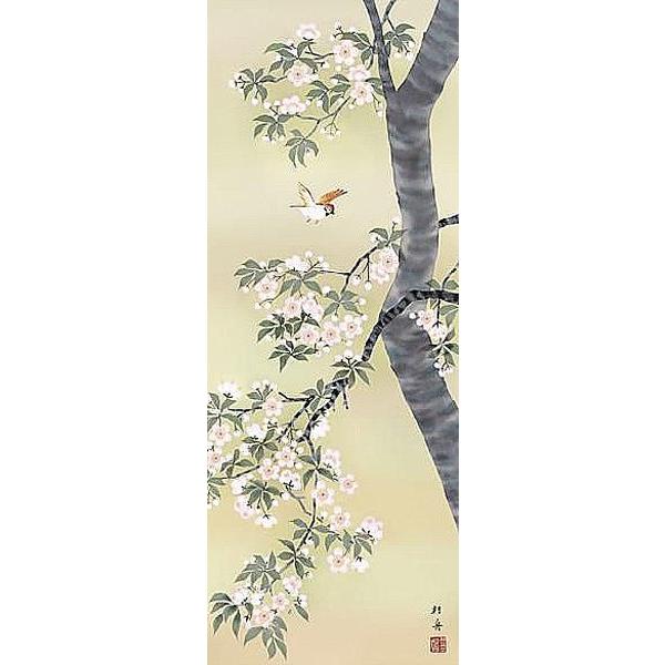 掛け軸 桜花に小鳥 長江桂舟 尺五 掛軸 全国送料無料 : 古都-京都