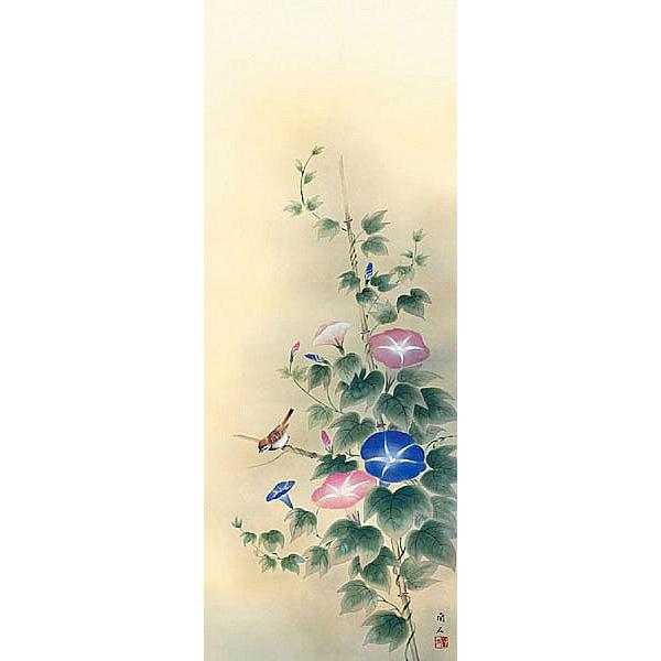 朝顔高見 掛軸 朝顔 縦 朝顔 掛け軸 夏 既製掛軸 出口華凰 朝顔 尺五立