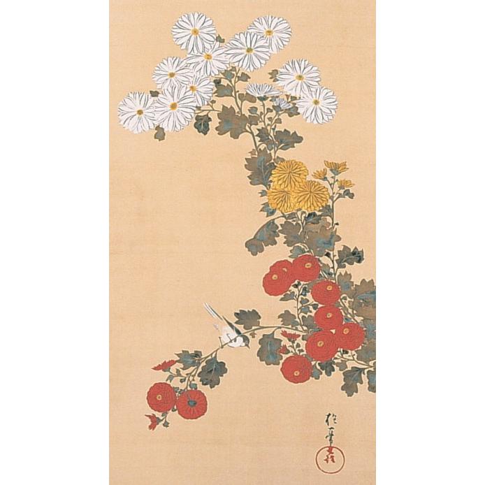 模写/酒井抱一/菊花小禽図/布袋屋掛軸HI-246 模写/酒井抱一/菊花小禽図/布袋屋掛軸HI-246