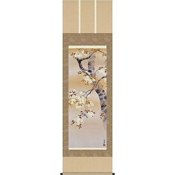 掛け軸 桜花に飛禽  近藤玄洋 掛軸 全国貨物輸送無料 絵画-日本画