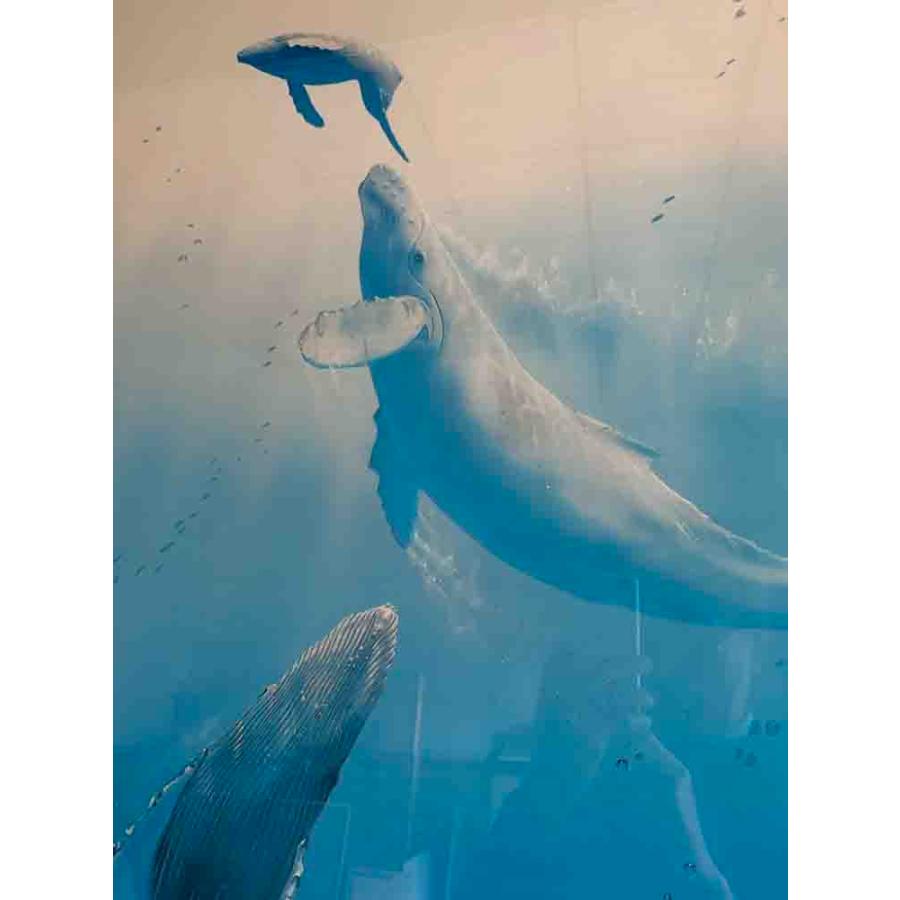 版画 クリスチャン・リース・ラッセン シードーン 絵画 全国送料無料