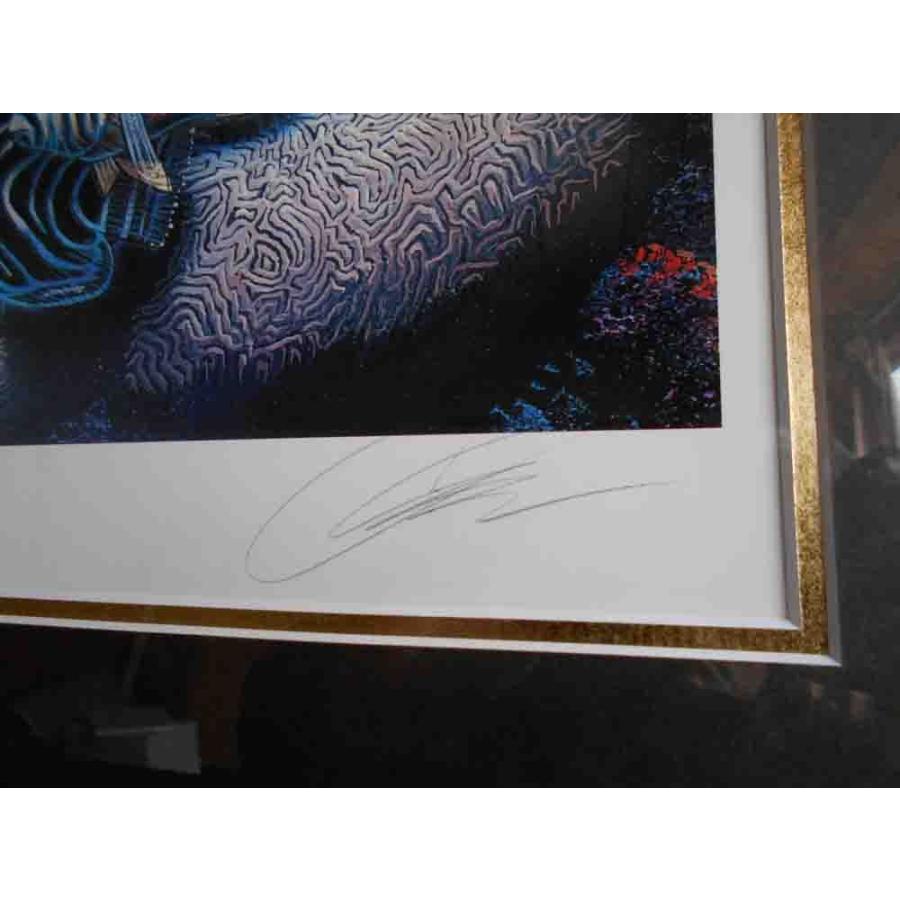 版画 クリスチャン リース ラッセン ミラクルオブライフ 絵画 全国送料無料 R3 6 5 古都 京都 掛け軸専門店文永堂 通販 Yahoo ショッピング