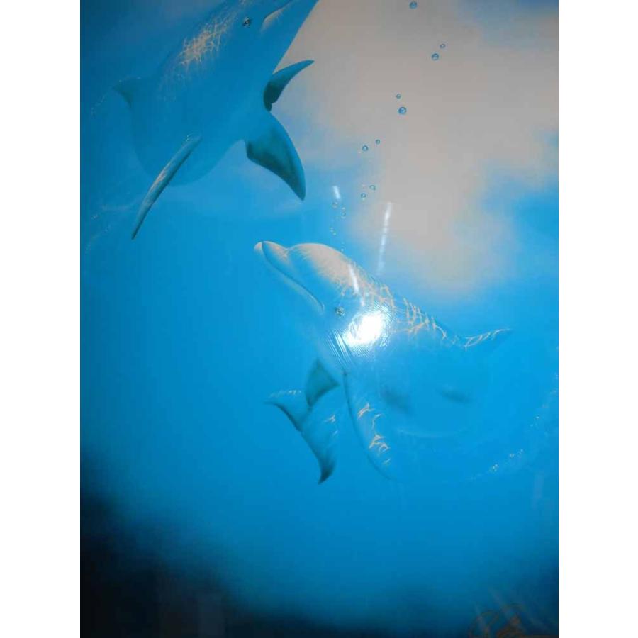 版画 クリスチャン・リース・ラッセン イノセンス／絵画 全国送料無料  