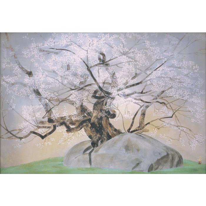 中島千波　「千歳櫻」　岩絵具方式複製画　刷り込みサイン・作品証明シール有り 中島千波 『千歳櫻』 岩絵具方式 複製日本画 絵画 桜 春 名画