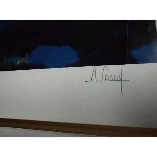 版画 アンソニーキャセイ パシフィックダウン シバクローム