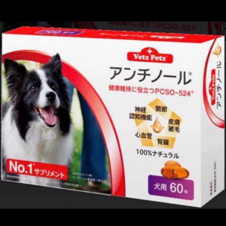 アンチノール (犬用60粒) :AKY-325801239:アーキヤオンラインショップ - 通販 - Yahoo!ショッピング