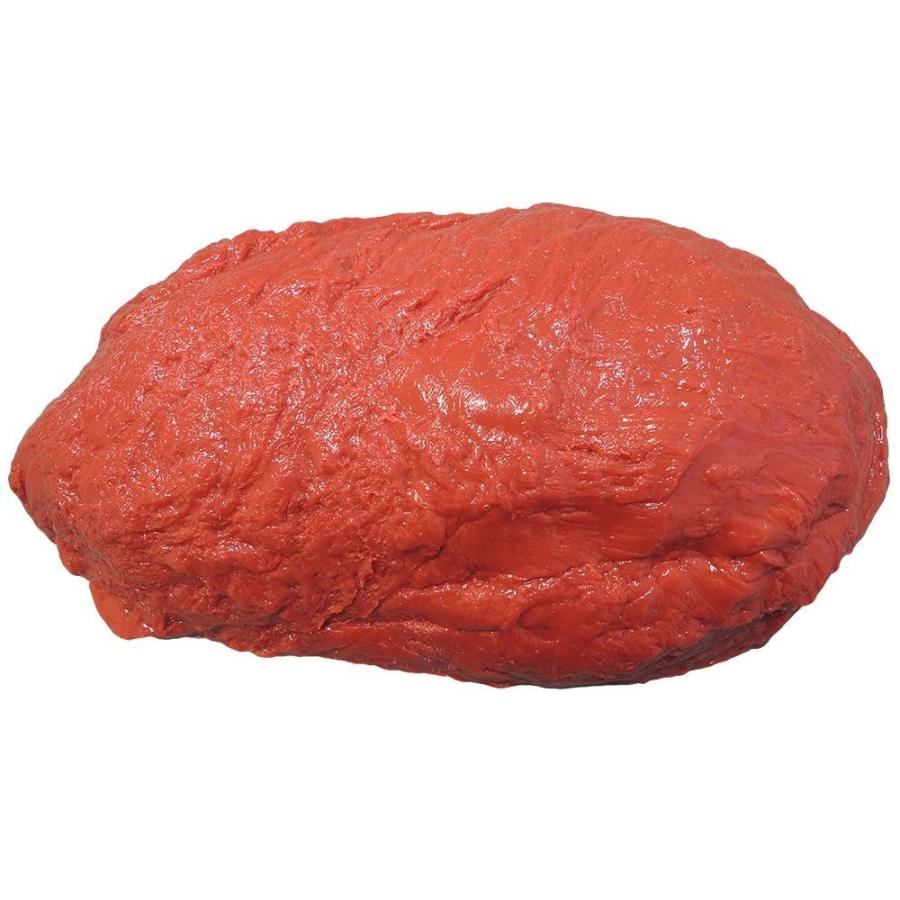 爆買 筋肉模型 3kg IP-976