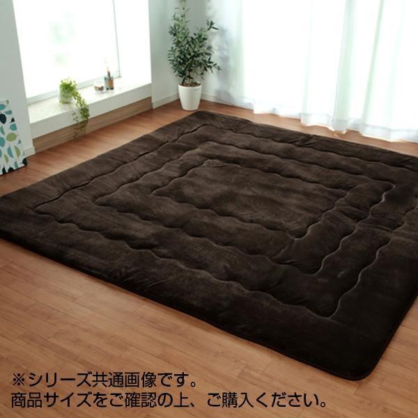 大判ふっくら敷きカーペット 大判 『大判ドーク』 ブラウン 約220×300cm 5996959