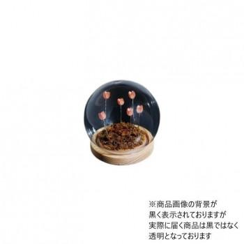 Flower glass dome フラワーガラスドーム 41407 : A-life Shop - 通販