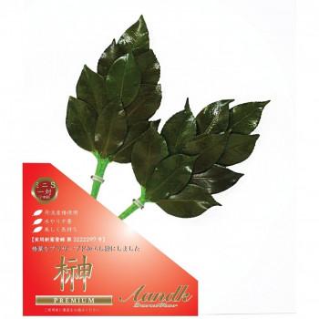 A＆K 日本製プリザーブド プレミアム榊 丹波産高級椿葉使用 ミニSサイズ C-002MS
