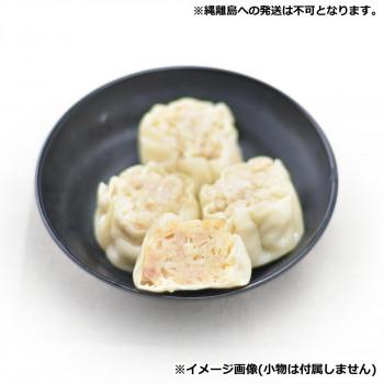 爆買 友盛貿易 友盛 豚肉焼売(シュウマイ)35g×20個×15pc 0215308 代引き不可_2