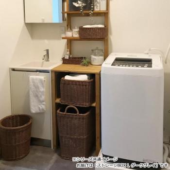 爆買 サンリツ キレーネ プリュス 洗える超抗菌素材のストレージBOX L DGY 3P028DGY_3