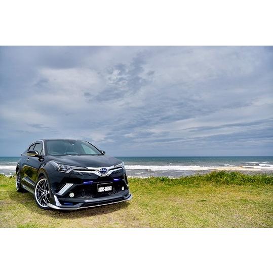 ダックスガーデン」C-HR（NGX50/ZYX10）ブーストスポイラー用