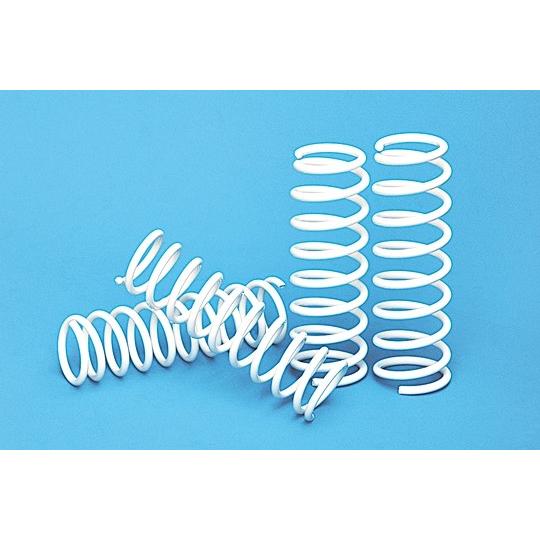 タニグチ TANIGUCHI」ジムニー（JA22）用ソルブ30mmアップコイルx1台  