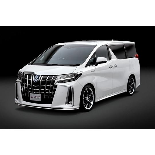 トップライン/METLIP」30系アルファード S#（GGH/AGH3#W）後期用メタル