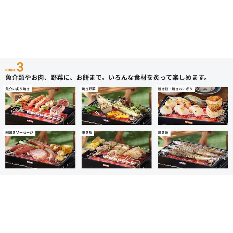Iwatani（イワタニ） CB-ABR-2 カセットガス炉ばた焼器 炙りやII