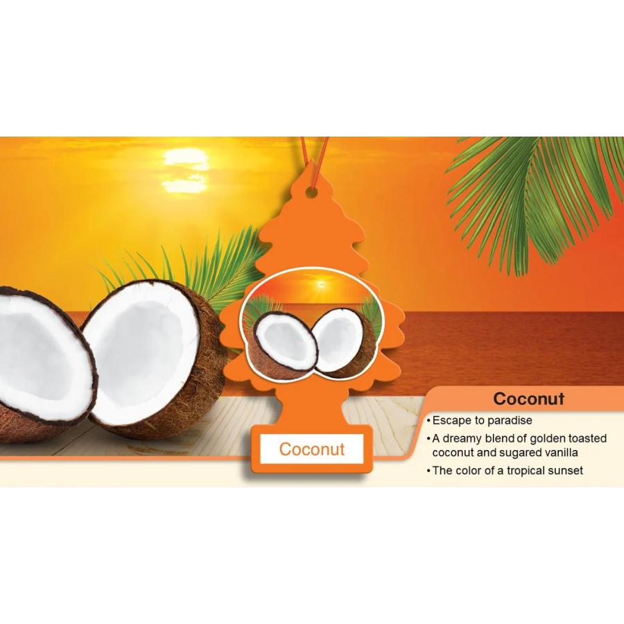 Little Trees air freshener リトルツリー エアーフレッシュナー LT003 Coconut ココナッツ 1P パック | Little Trees | 01