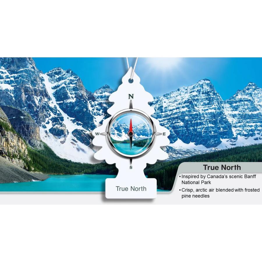Little Trees air freshener リトルツリー エアーフレッシュナー LT025 True North トゥルーノース 1P パック | Little Trees | 01