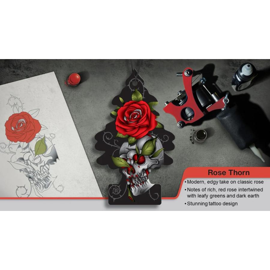 Little Trees air freshener リトルツリー エアーフレッシュナー LT030 Rose Thorn ローズソーン 1P パック | Little Trees | 01