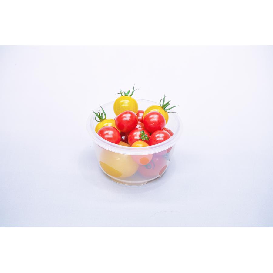 トルマジェル N ナノタイプ 110g 2本セット トルマジェル N ナノタイプ 110g 2本セット - メルカリ