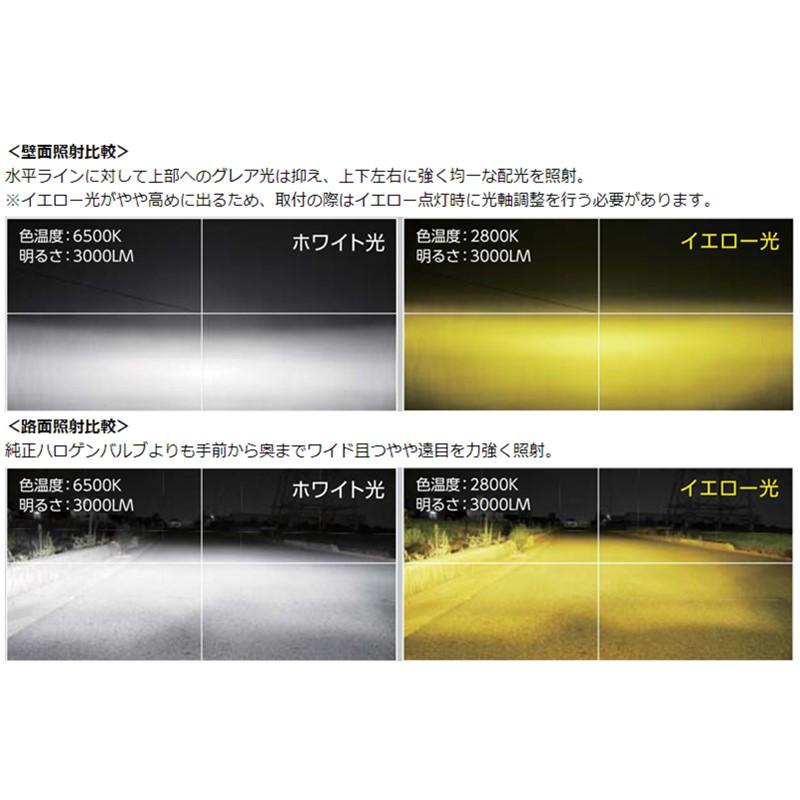 RACING GEAR（レーシングギア） RG POWER LED FOG Bulb フォグバルブ 