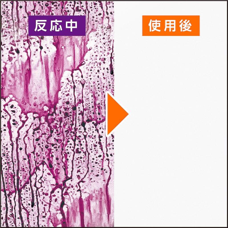 Pro Staff プロスタッフ モンスター ベリーベリーラッシュ S209 鉄粉除去クリーナー 鉄粉取り ブルーベリーの香り | ソフト99 | 02