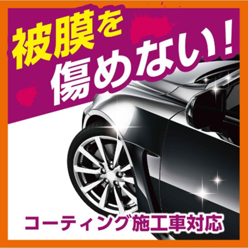 Pro Staff プロスタッフ Monster モンスター S219 メルトアイアン 鉄粉除去シャンプー コーティング施工車対応 カーシャンプー 洗車 500ml | ソフト99 | 03