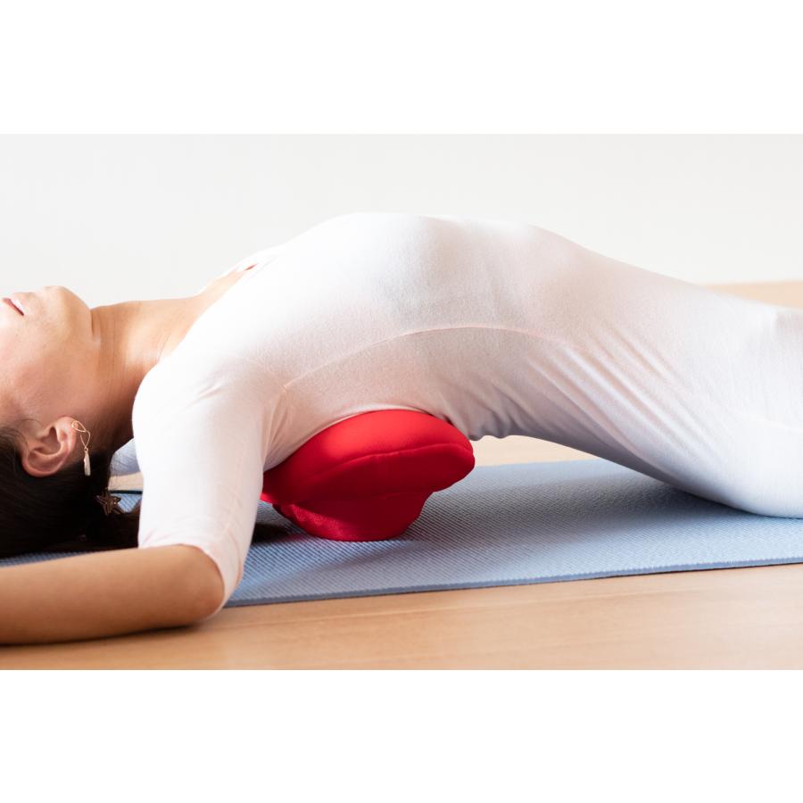 ツインズ TWINS Surf Air サーフエアー TCH-501-FR フレッシュレッド